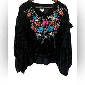Ivy Jane velvet embroidered top